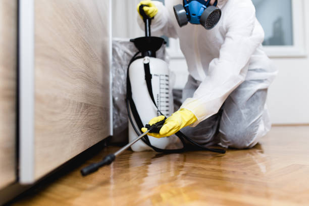 Best Local Pest Control Services  in Elba, AL