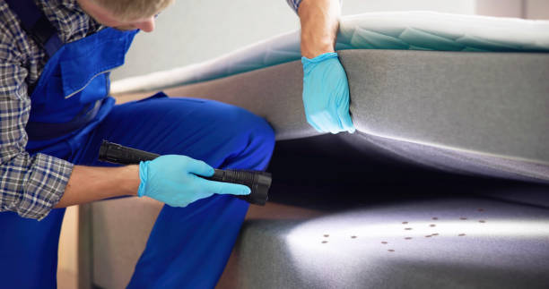 Best Affordable Pest Control Services  in Elba, AL