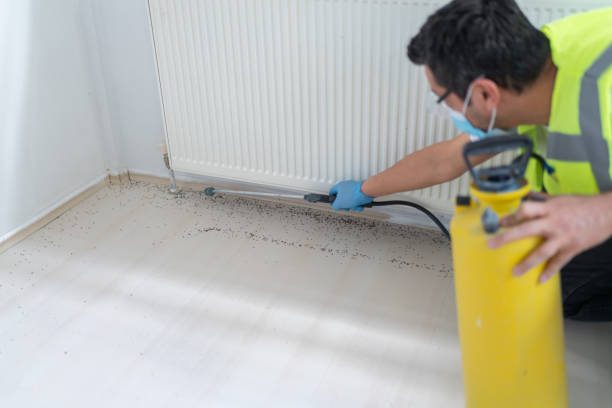 Best Mosquito Control Services  in Elba, AL